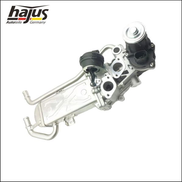 hajus Autoteile AGR-Modul (1311045)