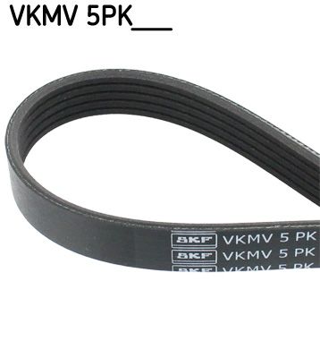 SKF Keilrippenriemen (VKMV 5PK1355)