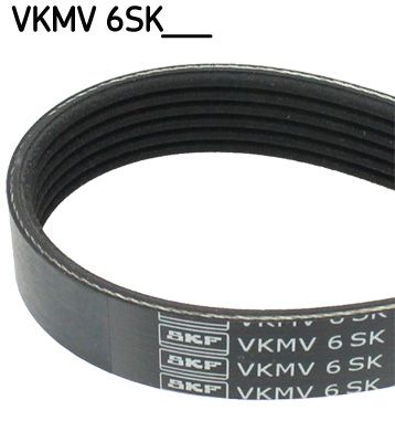 SKF Keilrippenriemen (VKMV 6SK842)