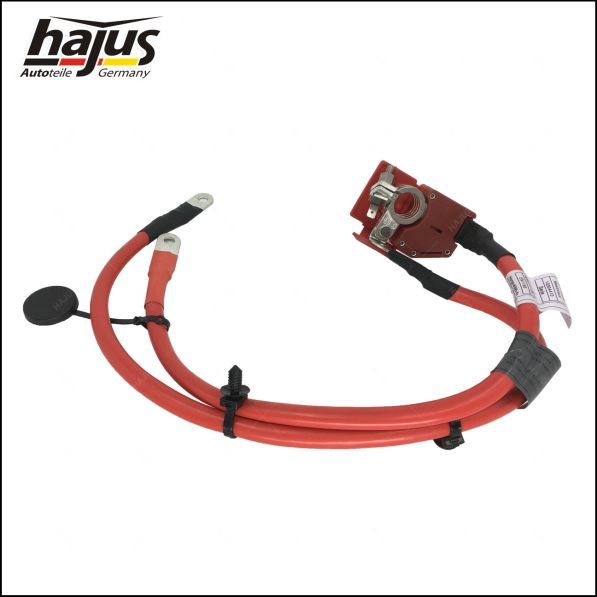 hajus Autoteile Batteriepolklemme (9191256)