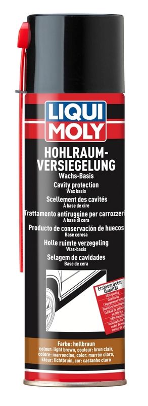 LIQUI MOLY Hohlraumkonservierung (6107)