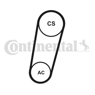 CONTINENTAL CTAM Keilrippenriemensatz (5PK705 ELAST T1)