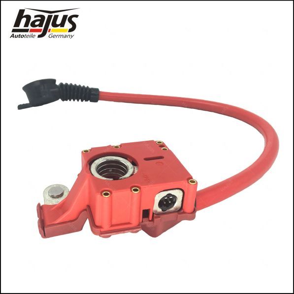 hajus Autoteile Batteriepolklemme (9191251)