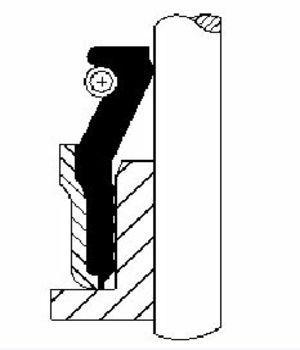 CORTECO Dichtring, Ventilschaft (12015882)