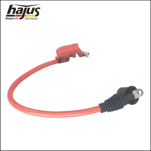 hajus Autoteile Batteriepolklemme (9191251)