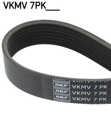 SKF Keilrippenriemen (VKMV 7PK1705)