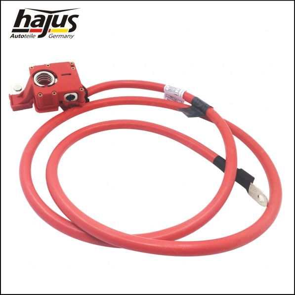 hajus Autoteile Batteriepolklemme (9191259)