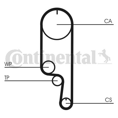 CONTINENTAL CTAM Zahnriemen (CT1008)