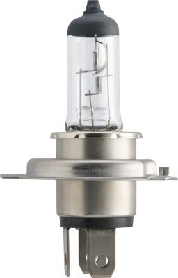 PHILIPS Glühlampe, Fernscheinwerfer (12342PRB1)