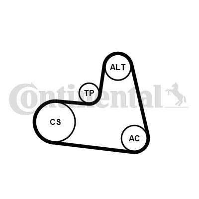 CONTINENTAL CTAM Keilrippenriemensatz (6PK1217K1)