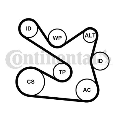 CONTINENTAL CTAM Keilrippenriemensatz (7PK1605K1) Thumbnail