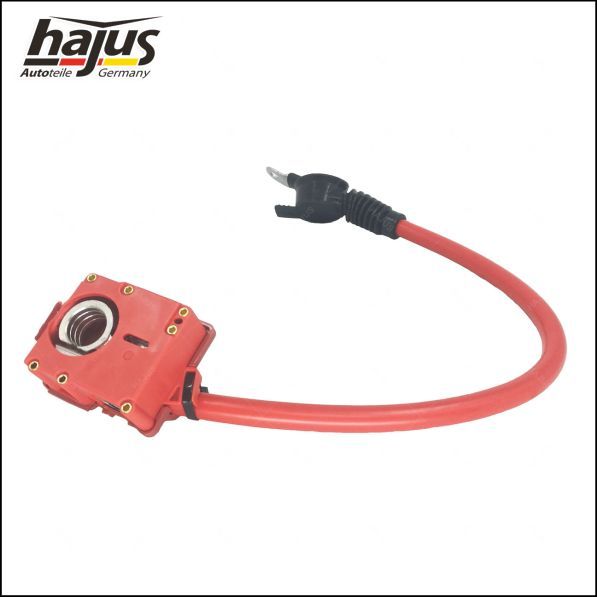 hajus Autoteile Batteriepolklemme (9191251)