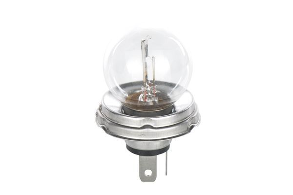 BOSCH Glühlampe (1 987 302 023)