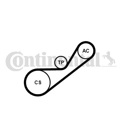 CONTINENTAL CTAM Keilrippenriemensatz (4PK925K1)