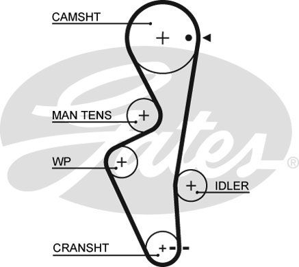 GATES Zahnriemen (5489XS) Thumbnail