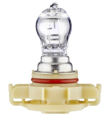 HELLA Glühlampe, Nebelscheinwerfer (8GA 223 569-001)