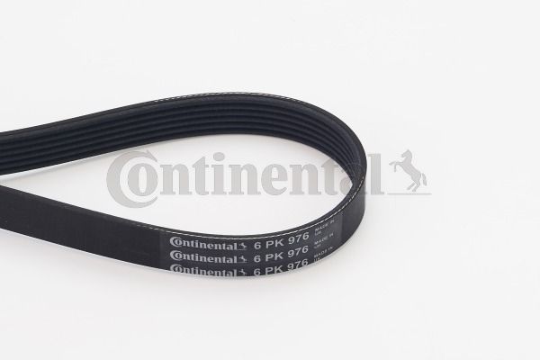 CONTINENTAL CTAM Keilrippenriemen (6PK976)