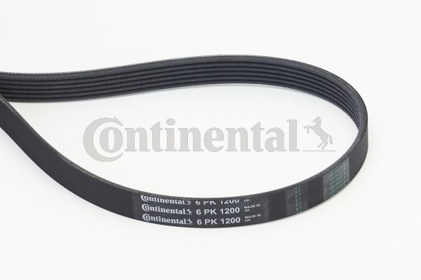 CONTINENTAL CTAM Keilrippenriemen (6PK1200)