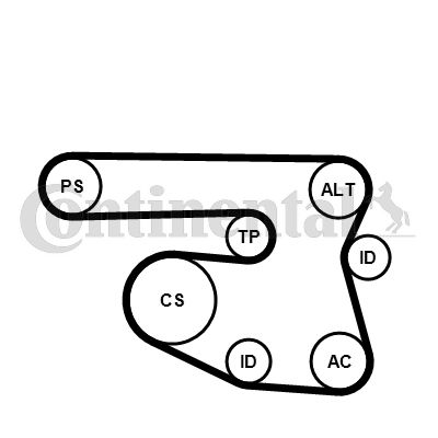 CONTINENTAL CTAM Keilrippenriemensatz (6PK1870K1) Thumbnail