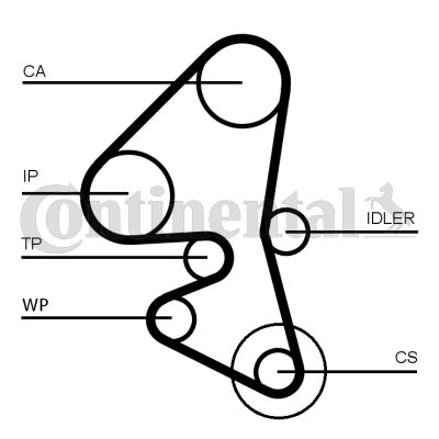 CONTINENTAL CTAM Wasserpumpe + Zahnriemensatz (CT1163WP1)