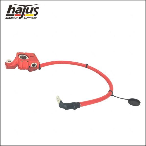 hajus Autoteile Batteriepolklemme (9191255)