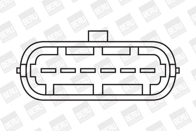 BorgWarner (BERU) Zündspule (ZS338)