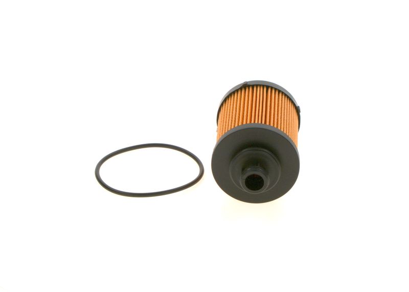 BOSCH Ölfilter (F 026 407 067)