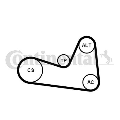 CONTINENTAL CTAM Keilrippenriemensatz (6PK1200K1)