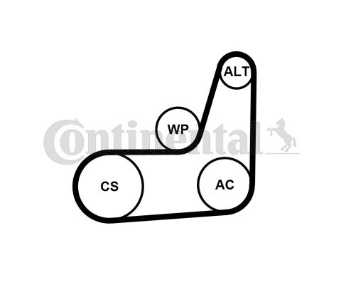 CONTINENTAL CTAM Keilrippenriemensatz (6PK1019 ELAST T2)