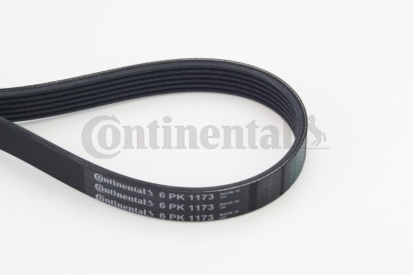 CONTINENTAL CTAM Keilrippenriemen (6PK1173)