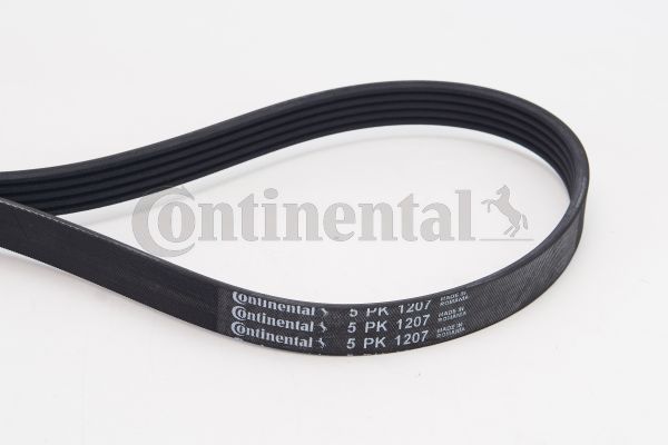 CONTINENTAL CTAM Keilrippenriemen (5PK1207)