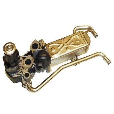 MAGNETI MARELLI AGR-Ventil (571822112070)