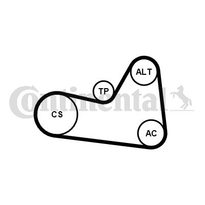 CONTINENTAL CTAM Keilrippenriemensatz (6PK1026K1) Thumbnail