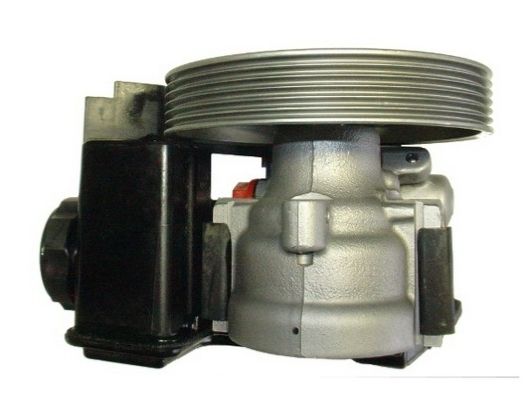 SPIDAN Hydraulikpumpe, Lenkung (53671)