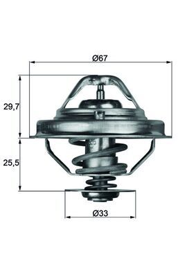 MAHLE Thermostat, Kühlmittel (TX 38 80D)