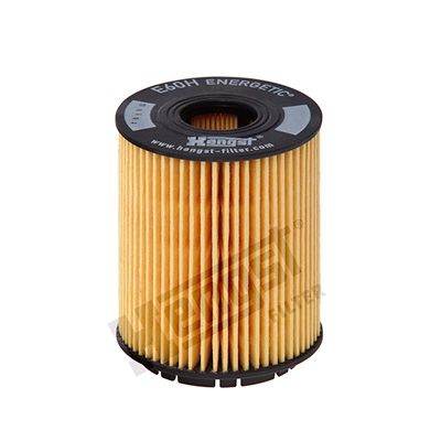 HENGST FILTER Ölfilter (E60H D110)