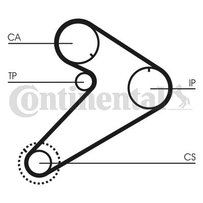 CONTINENTAL CTAM Zahnriemen (CT921)