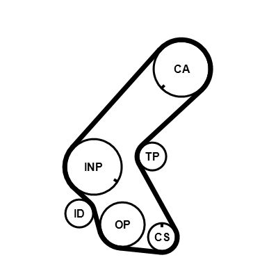 CONTINENTAL CTAM Zahnriemen (CT1178)