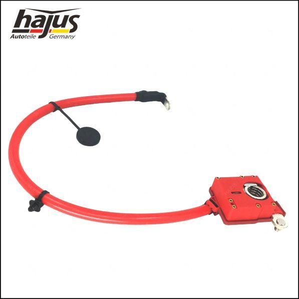 hajus Autoteile Batteriepolklemme (9191255)