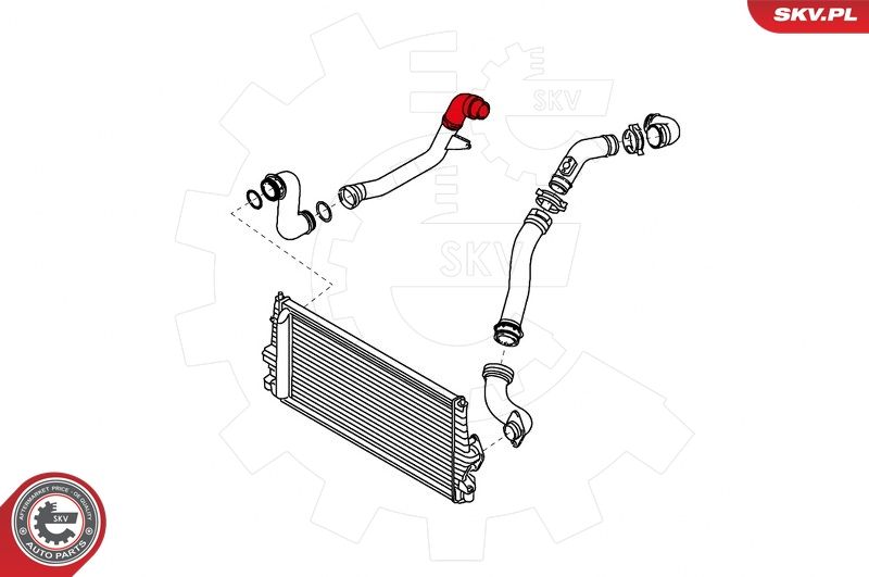 ESEN SKV Ladeluftschlauch (24SKV749)