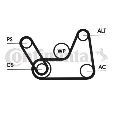 CONTINENTAL CTAM Keilrippenriemensatz (6PK1019 ELAST T1)