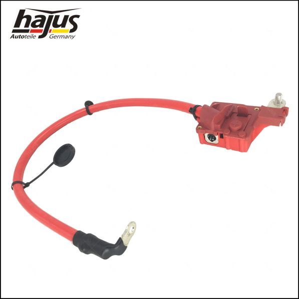 hajus Autoteile Batteriepolklemme (9191255)