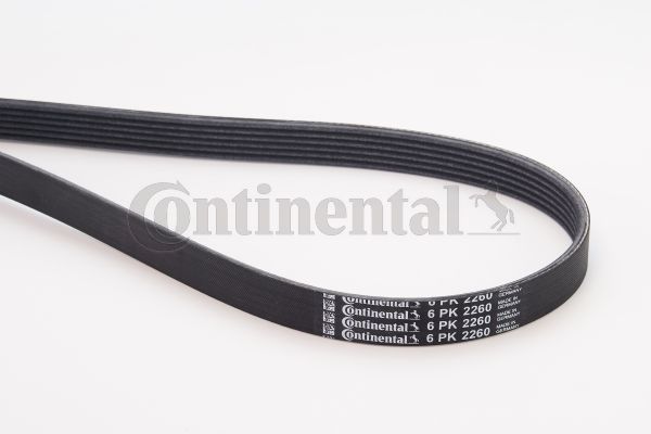 CONTINENTAL CTAM Keilrippenriemen (6PK2260)