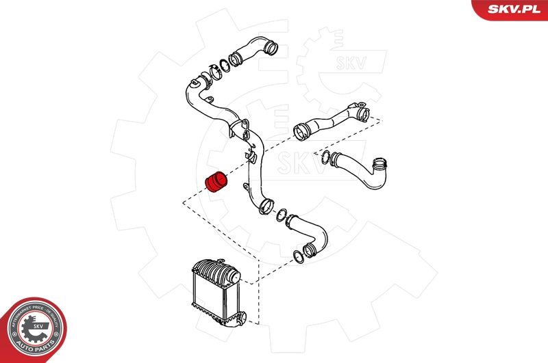 ESEN SKV Ladeluftschlauch (24SKV042)