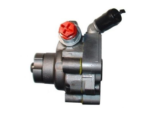 SPIDAN Hydraulikpumpe, Lenkung (54219)