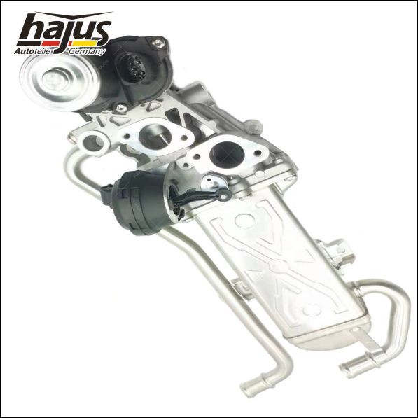 hajus Autoteile AGR-Modul (1311045)