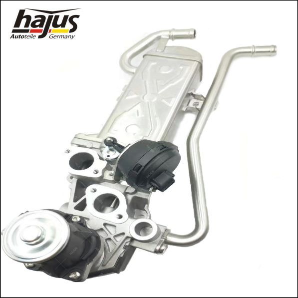 hajus Autoteile AGR-Modul (1311045)