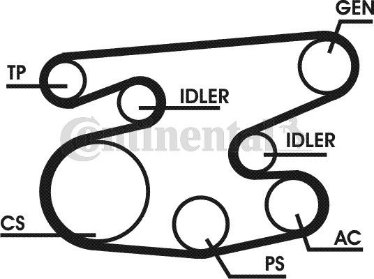 CONTINENTAL CTAM Keilrippenriemensatz (6PK2236D1)