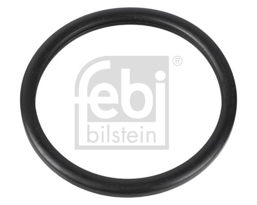 FEBI BILSTEIN Dichtung, Thermostat (10255)