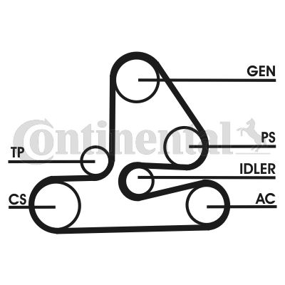 CONTINENTAL CTAM Keilrippenriemensatz (6PK1613D1)